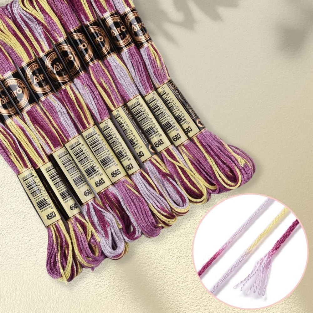6 Strands Purple Variegated Em - đánh giá và giá Embroidery Stitch