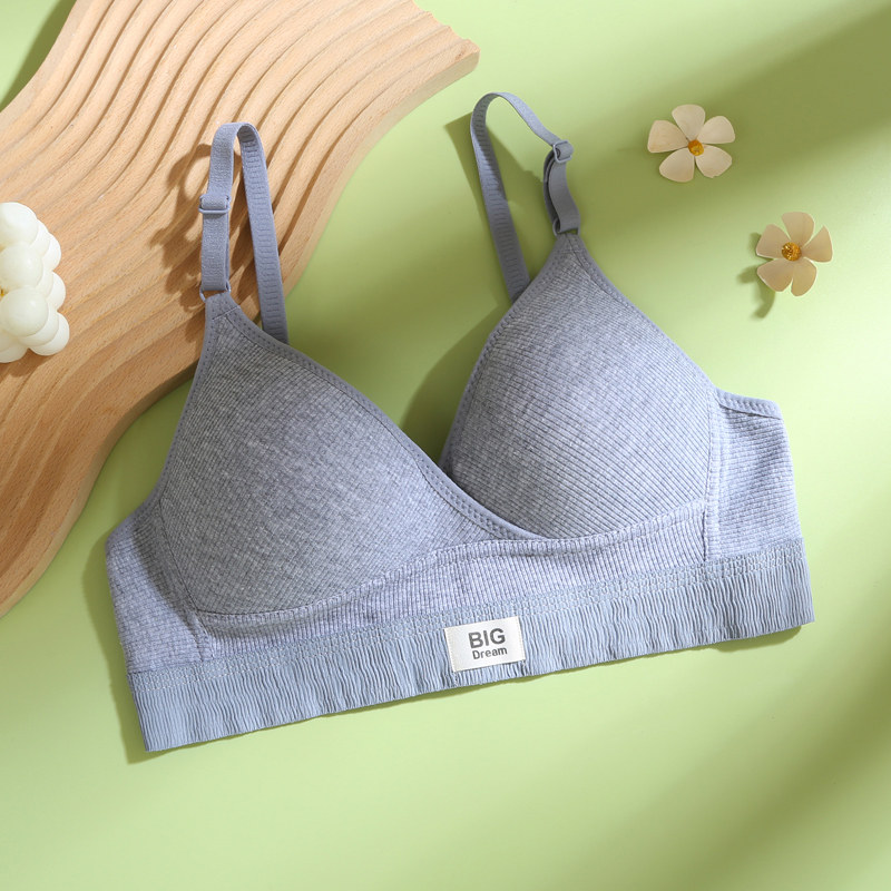 Soutien-gorge en coton style f - đánh giá và giá Embroidery Ai