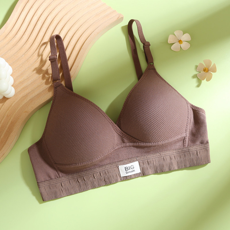 Soutien-gorge en coton style f - đánh giá và giá Embroidery Ai